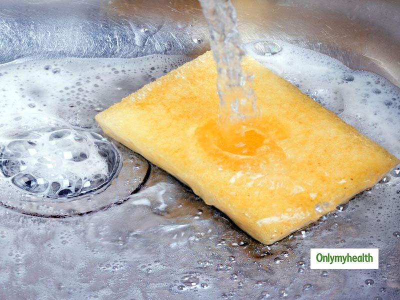 Kitchen Sponge Could Find Solution For Antibiotic Resistant Bacteria   Big SPONGE 